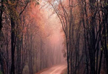 意昂体育官网：日本队官方：守田英正和上田绮世因伤离队，不会补招其他球员.