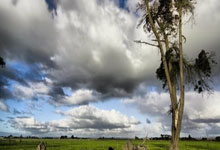 意昂体育官网:谷爱凌拿到第17个世界杯冠军,刷新自由式滑雪世界杯冠军数纪录环球时报.