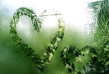 意昂体育官网:图片报:巴黎、红军等队有意施洛特贝克,多特想和他涨薪续约.