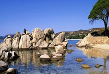 意昂体育官网：中国女足24人集训名单：吴海燕、王霜领衔，两名留洋球员在列.